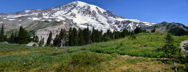 istock Beautiful mountain view from Panorama point in Mt Rainier 503363618