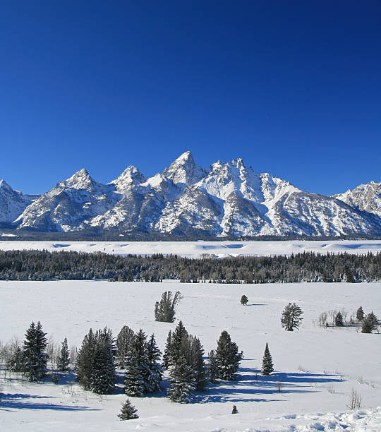 istock Grand Tetons Mountain Spires 503364036