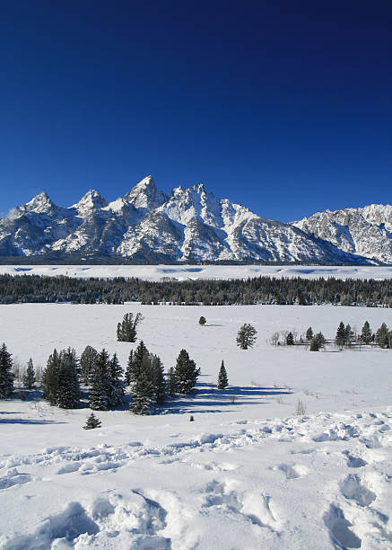 istock Grand Tetons National Park Mountain Range in morning sunlight 503364534
