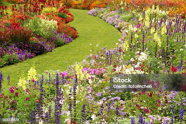 Sommer Flower Garden Stockfoto und mehr Bilder von Hausgarten - Hausgarten, Löwenmaul, Blume