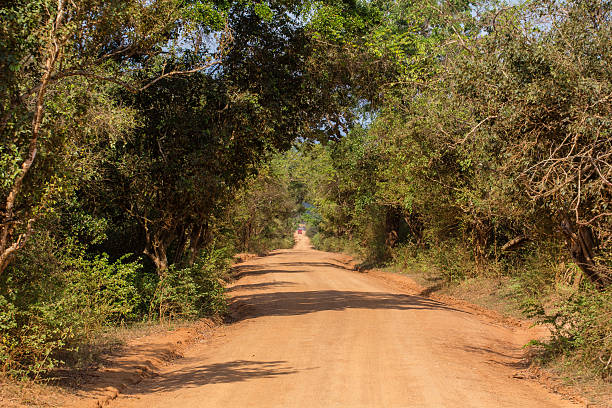 istock Safai in the Yala Nationalpark 503371513
