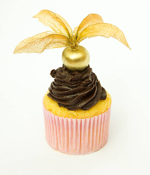 istock Golden Physalis and Chocolate Cupcake 503374253