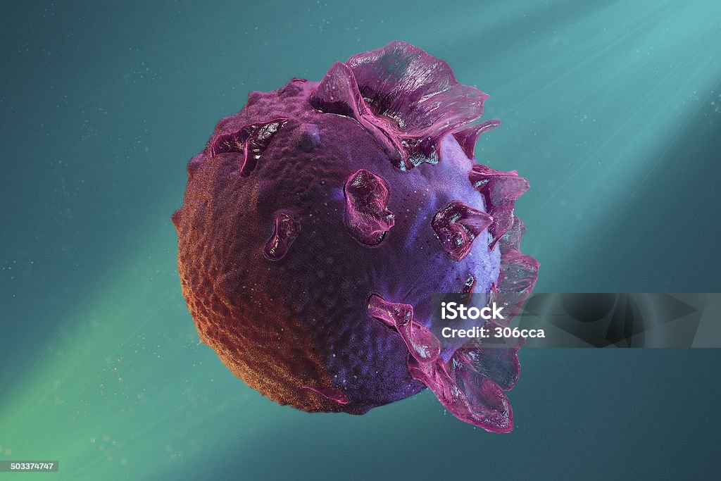 Epstein-Barr virus Human Herpes Virus, Infectious Mononucleosis, "The Kissing Disease" Virus Stock Photo