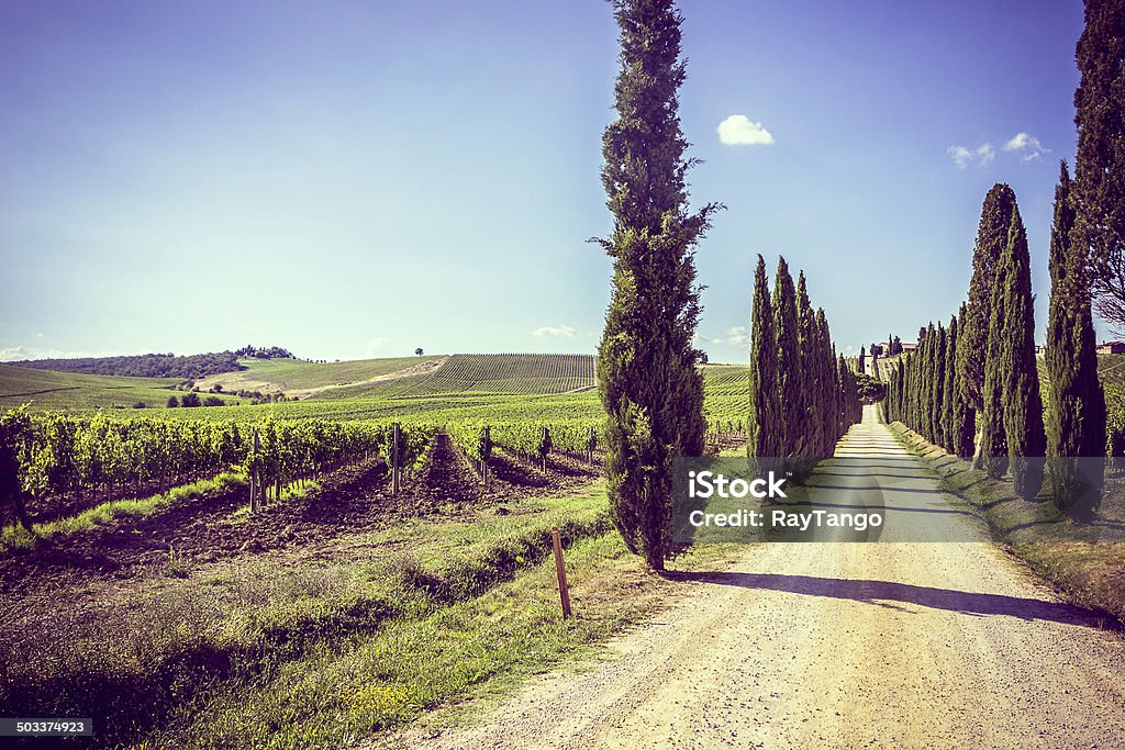 Toscana - Foto stock royalty-free di Agricoltura