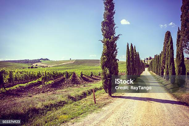 Tuscany Stock Photo - Download Image Now - Agriculture, Awe, Beauty In Nature