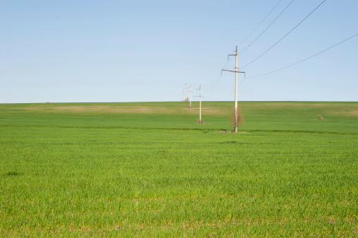 Landscape with electrical posts, green field and blue sky.