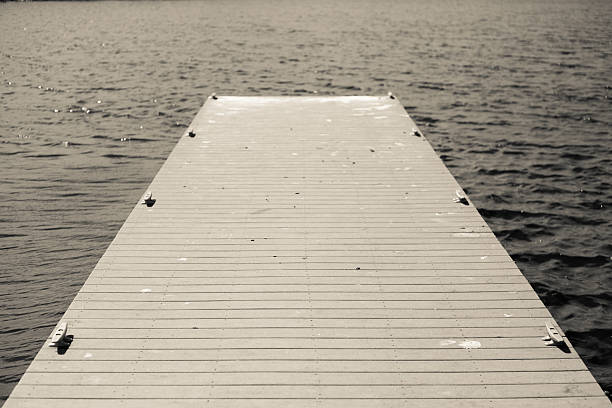 istock Black and White Dock at a Lake 503377477