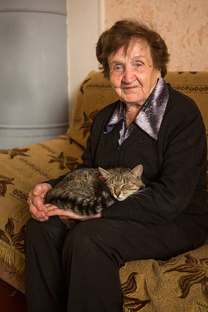 istock An elderly woman (80 years) with cat in her house. 503377889