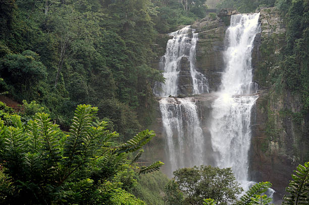 istock Beautiful waterfall in Sri Lanka 503385368