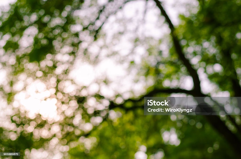 Blurry Bokeh of Space of Foliage.. Space of foliage and sky in blurry bokeh. Abstract Stock Photo