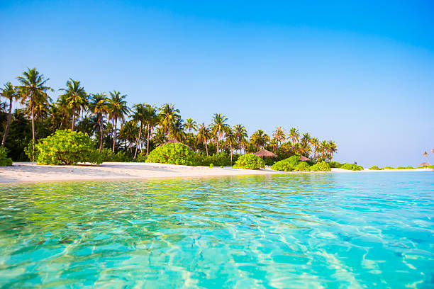 istock Perfect white beach with turquoise water at ideal island 503386032
