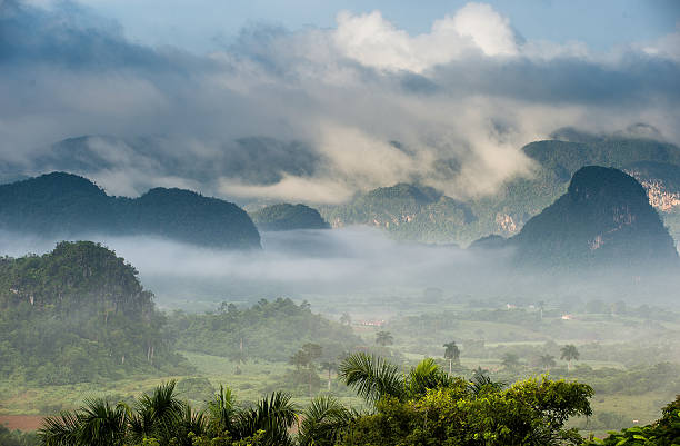istock Peaceful view of Vinales valley at sunrise. 503386046