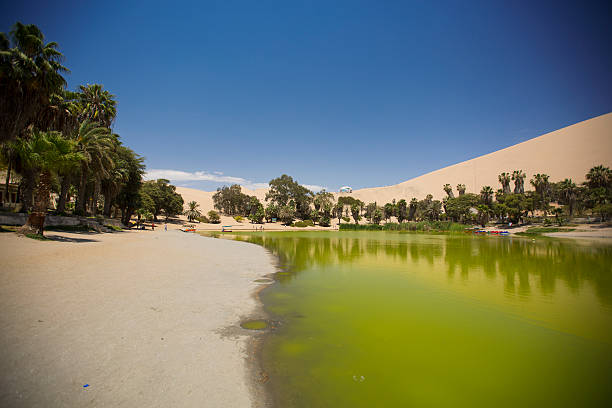 оазис в дюны. перу - oasis sand sand dune desert стоковые фото и изображения