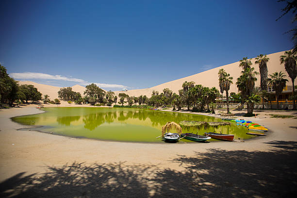 оазис в дюны. перу - oasis sand sand dune desert стоковые фото и изображения