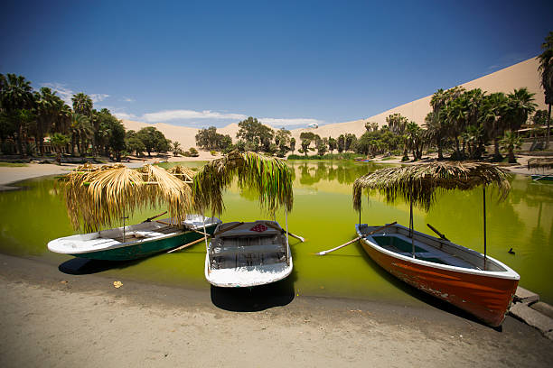 оазис в дюны. перу - oasis sand sand dune desert стоковые фото и изображения