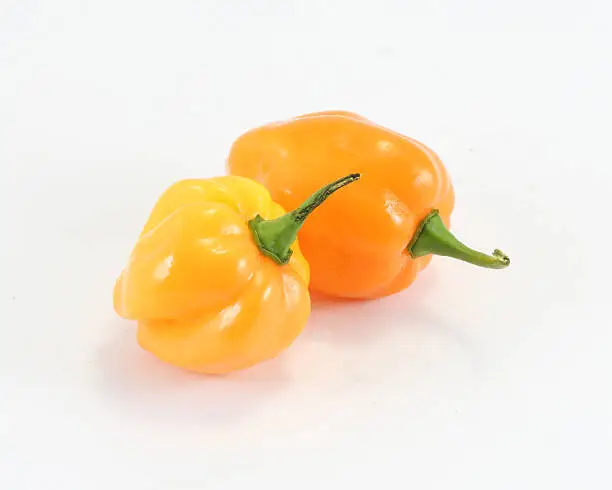 Hot spicy Habanero Chili Pepper on white background