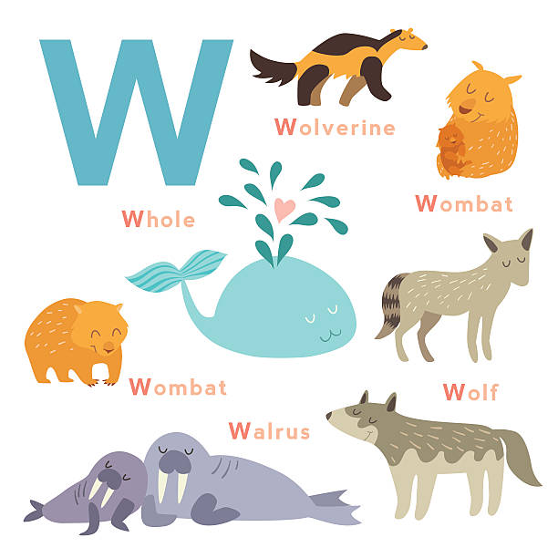 W Letter Animals Set English Alphabet Vector Stock Illustration - Download Image Now - Alphabet, Animal, Animal Wildlife - iStock W Letter Animals Set English Alphabet Vector Stock Illustration - Download Image Now - Alphabet, Animal, Animal Wildlife - iStock