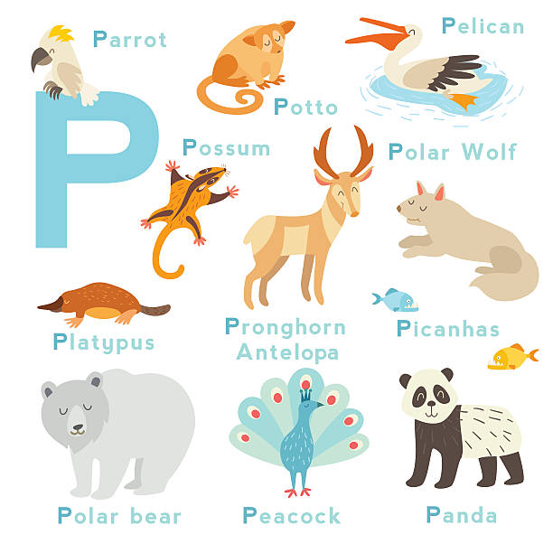 P Letter Animals Set English Alphabet Vector Illustration Stock  Illustration - Download Image Now - iStock