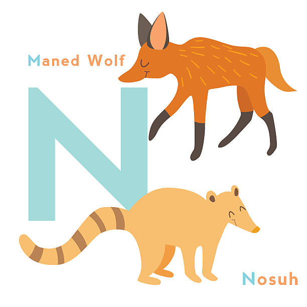 N Word Illustrations Illustrations, Royalty-Free Vector Graphics & Clip Art - iStock N Word Illustrations Illustrations, Royalty-Free Vector Graphics & Clip Art - iStock