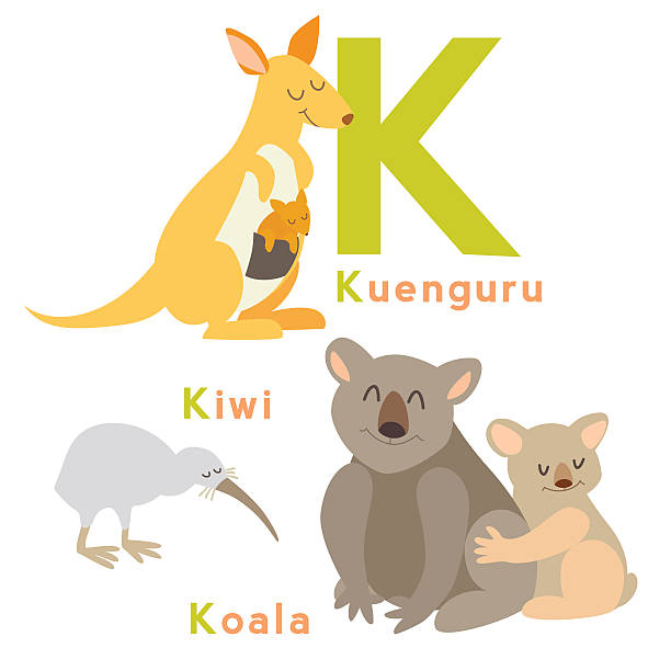 k 알파벳 동물 설정할 수 있습니다. 영어 알파벳. 벡터 일러스트레이션 - computer graphic multi colored zoo single word stock illustrations