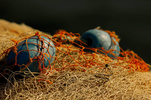 商業漁業純 - commercial fishing net netting fishing striped ストックフォトと画像