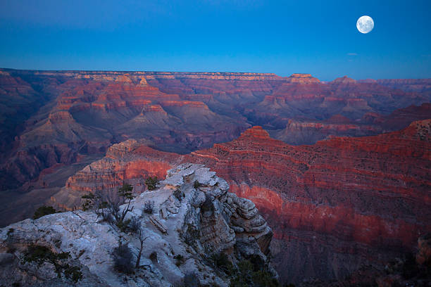 istock Grand Canyon at night 503391208