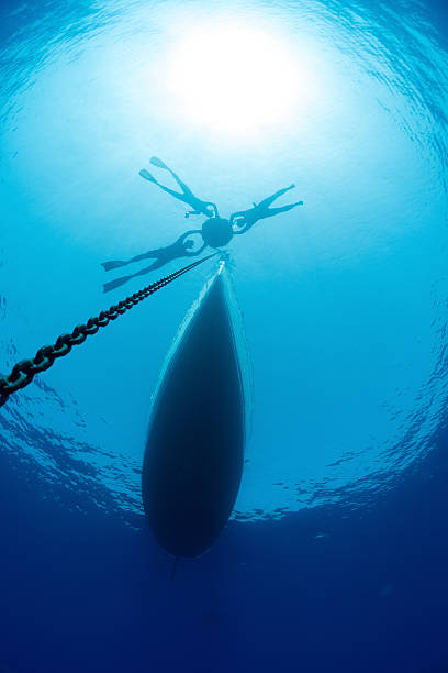 istock Freedivers in the sea 503391424