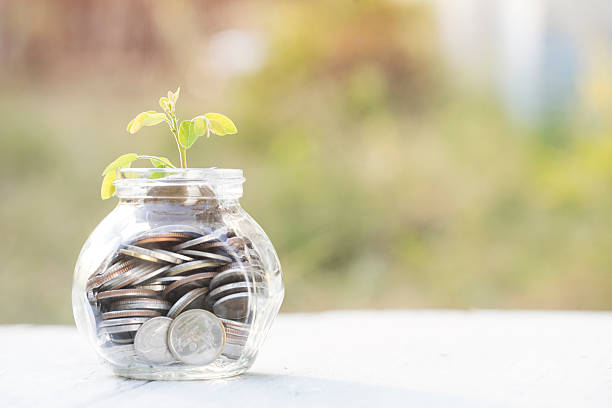 istock Sprout growing on glass bottle bank 503391554