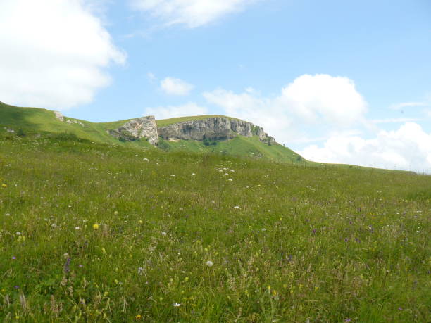 istock The blossoming meadows on slopes of hills. 503391940