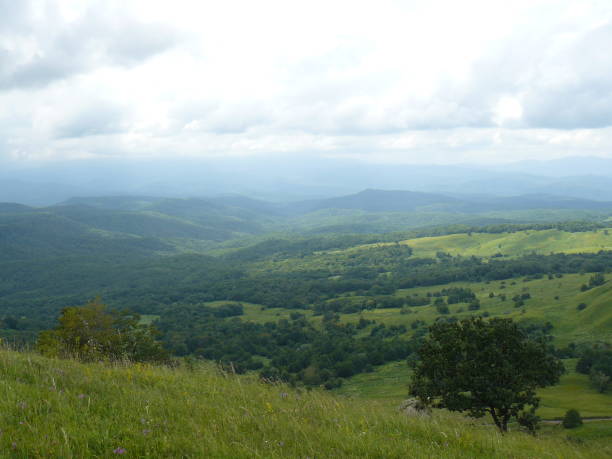 istock The blossoming meadows on slopes of hills. 503392042