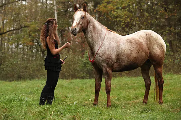 Photo of Young girl working with horse, natural horsemanship