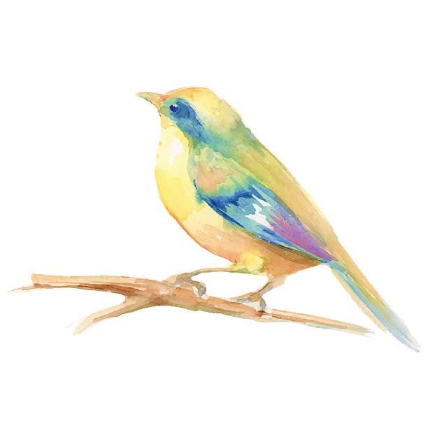istock Cute watercolor bird. Watercolor illustration 503392548