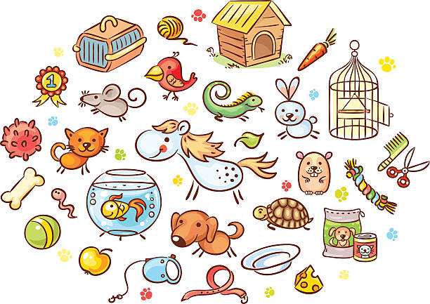 illustrations, cliparts, dessins animés et icônes de ensemble d'animaux de compagnie avec des accessoires - hamster cage birdcage isolated