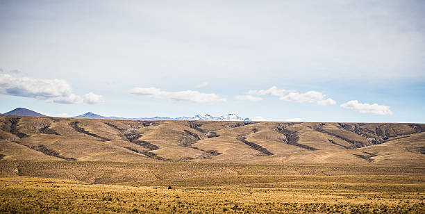 istock High altitude Andean landscape with scenic sky 503395834