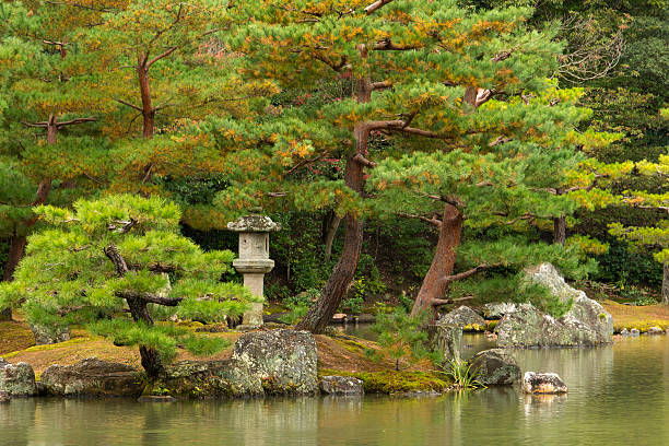 istock Japanese garden with lantern 503396626