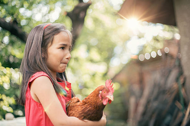 istock Little girl hugging a hen 503397058