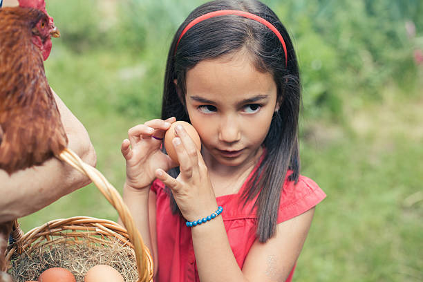 istock Girl gathering eggs in a basket 503397952