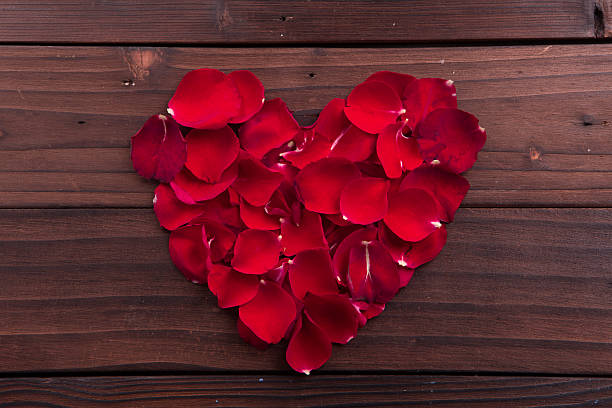 istock Valentine's Day: red love shaped rose petals 503398612
