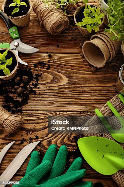 Gardening Tools And Plants Stock Photo - Download Image Now - Gardening, Gardening Equipment, Planting