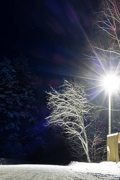 istock Last lights on the road in the night 503399956
