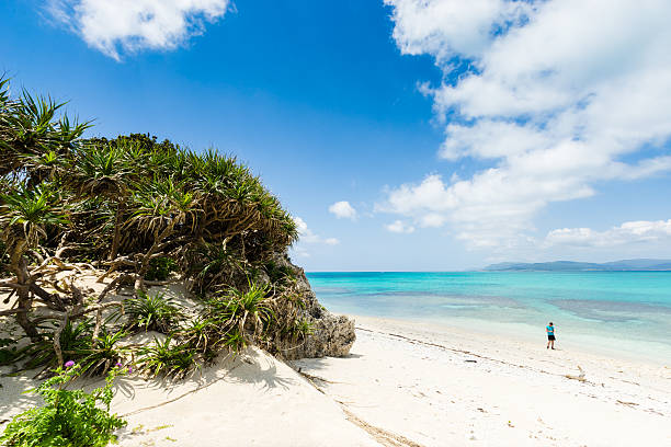 istock Man walking on idyllic tropical beach 503400403