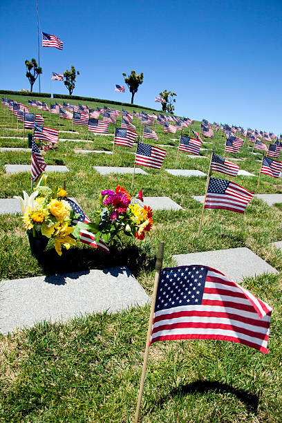 istock American Flags at National Cemetery 503401867