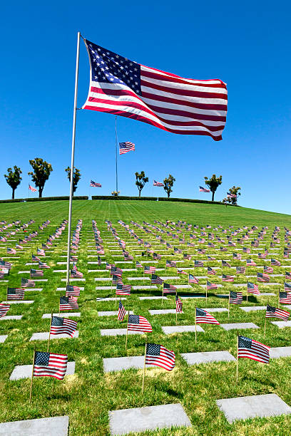 istock American Flags at National Cemetery 503401869