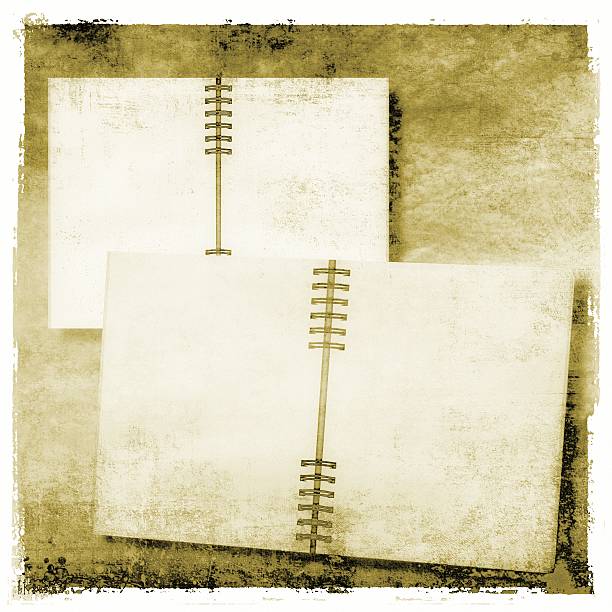 istock Open diary or photo album in vintage style 503402517