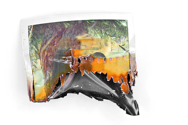 Instant film paper, half burnt and ruined isolated on white background.