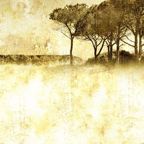 istock Vintage nature background with group of trees 503403483