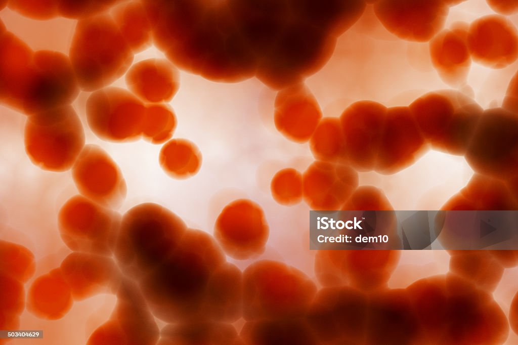 Кровь человека - Стоковые фото Бактерия роялти-фри