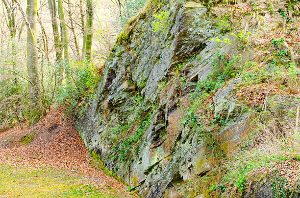 felswand im wald - rohstoffe fotografías e imágenes de stock