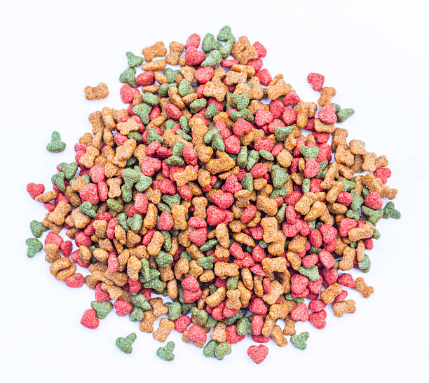 istock dog food background on white 503407033