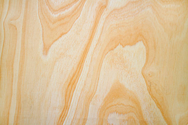 istock Wood plank brown texture background 503407081